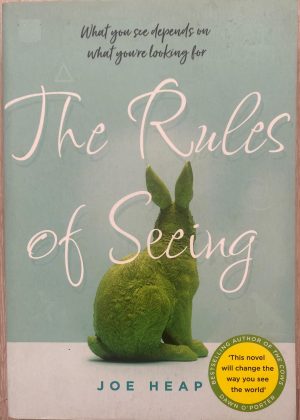 The Rules of Seeing