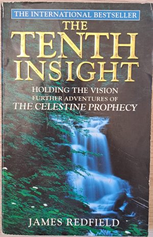 The Tenth Insight: Holding the vision - further adventures of The Celestine Prophecy