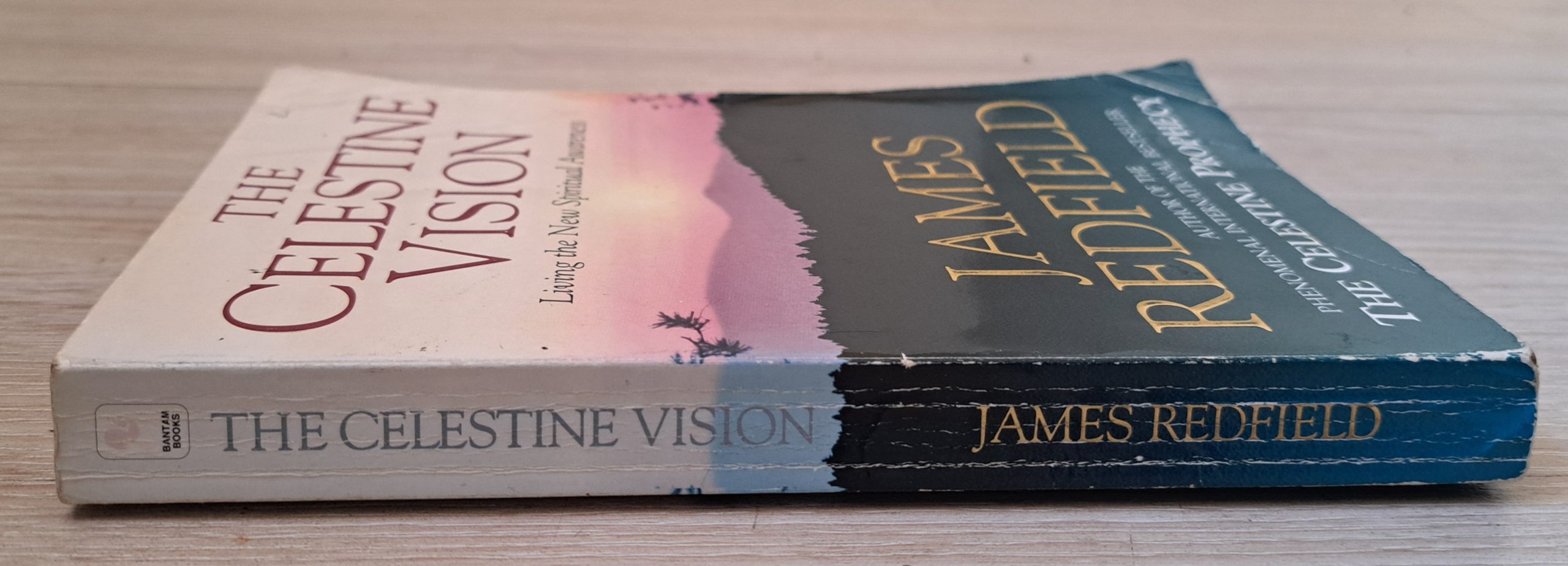 The Celestine Vision - Image 2