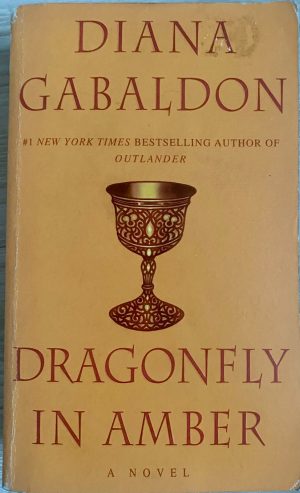 Dragonfly in Amber