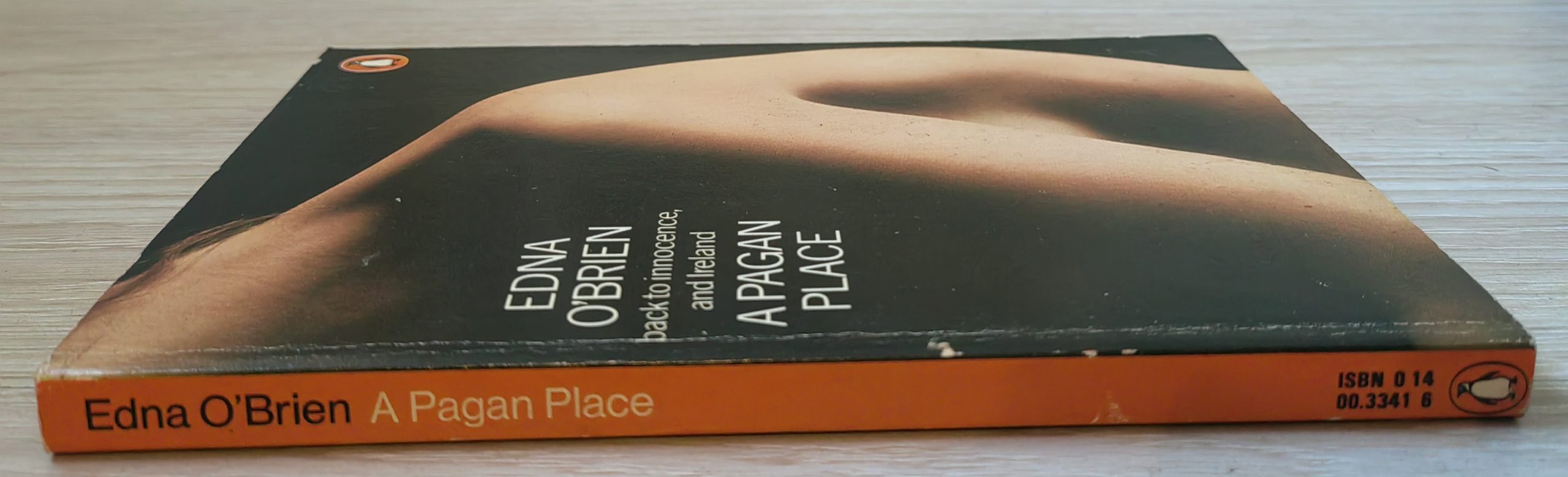A Pagan Place - Image 2