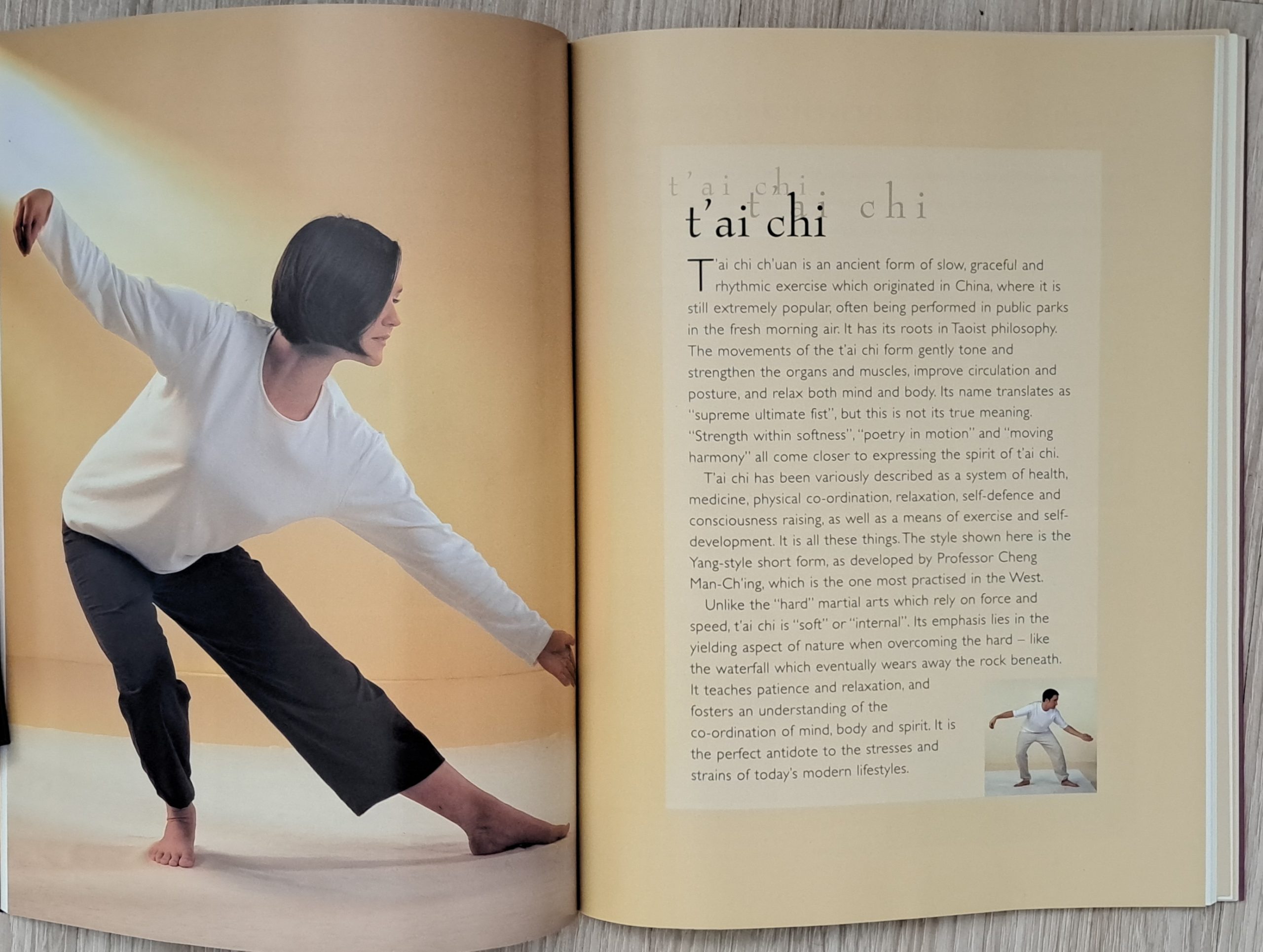 The Path to Inner Harmony - Image 4