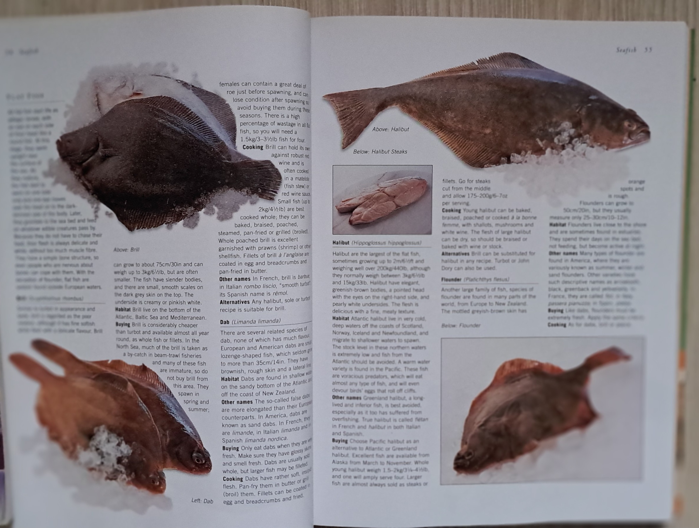 The Fish & Shellfish Kitchen Handbook - Image 4