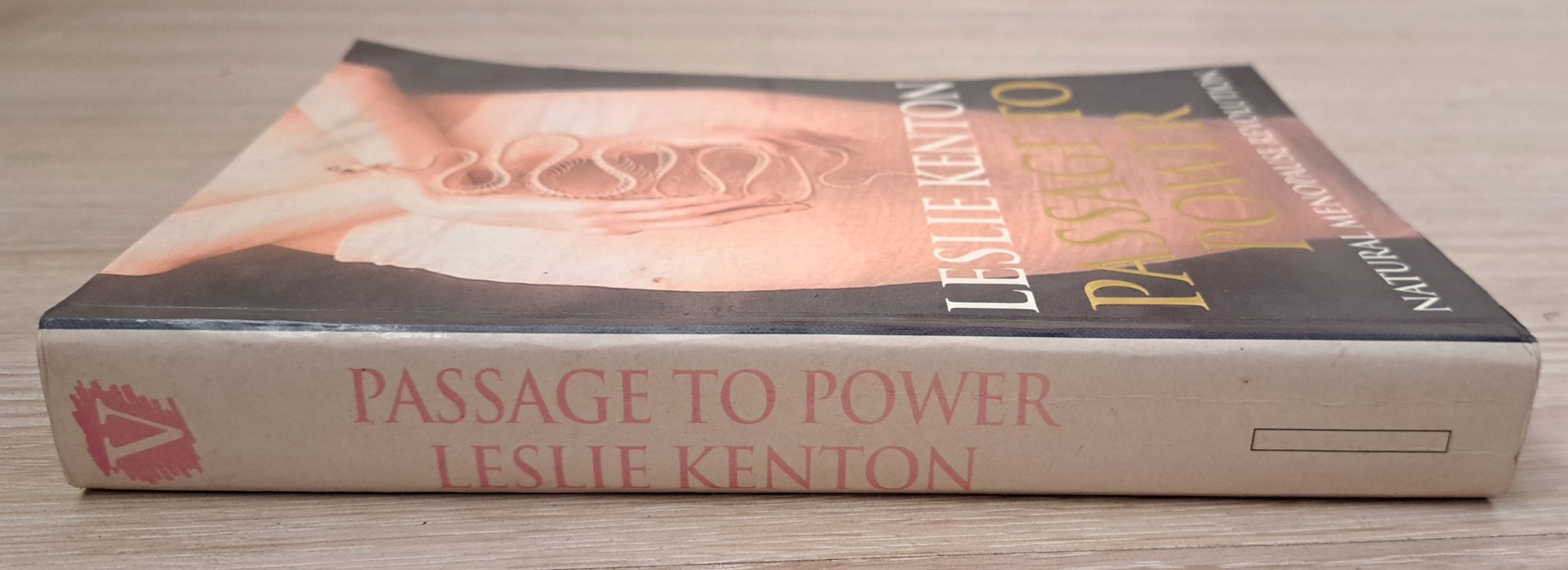 Passage to Power - Image 2