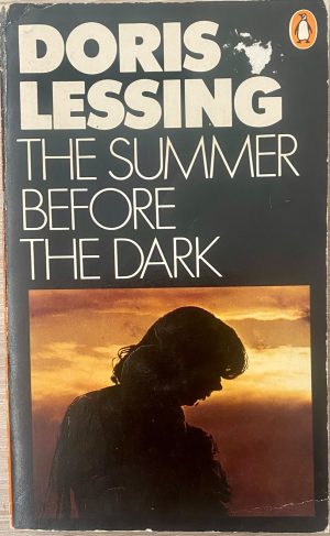 The Summer Before the Dark
