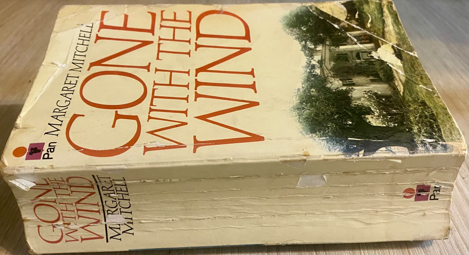 Gone with the Wind - Image 2
